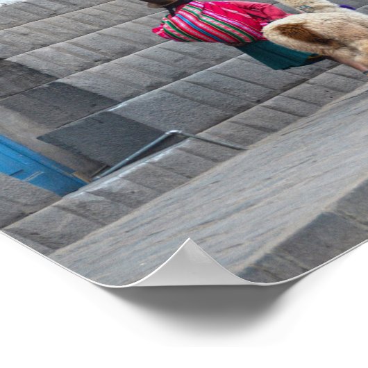 Vrouwen en Alpacas, Cusco, Peru Poster (Hoek)