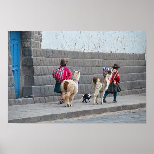 Vrouwen en alpaca's, Cusco, Peru Poster (Voorkant)
