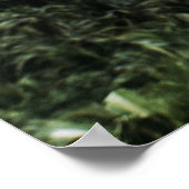 Vrouwen in de buurt van bomen poster (Hoek)