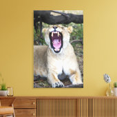 Vrouwen leeuw (Panthera leo), Masai Mara National Canvas Afdruk (Insitu (Woonkamer))
