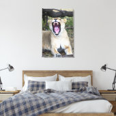 Vrouwen leeuw (Panthera leo), Masai Mara National Canvas Afdruk (Insitu (Slaapkamer))