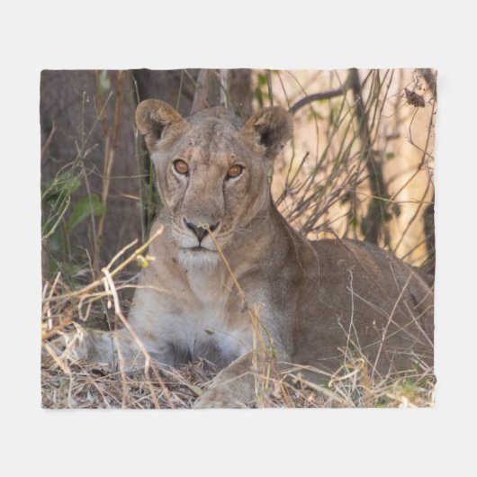Vrouwen leeuwendeken fleece deken (Voorkant (Horizontaal))