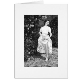 Vrouwen versus Mannen