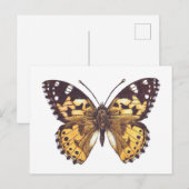 Vrouwerijvlinder Briefkaart (Voorkant / Achterkant)