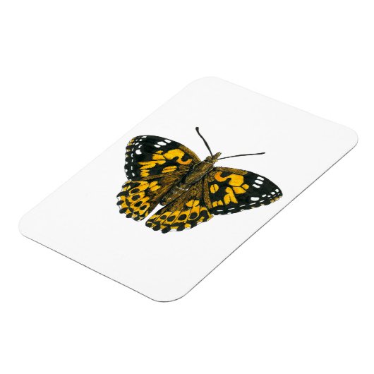 Vrouwerijvlinder Magneet (Linkerzijde)