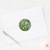 Vrouwtjes pantoffelorchideeën (Cypripedium calceol Ronde Sticker (Envelop)
