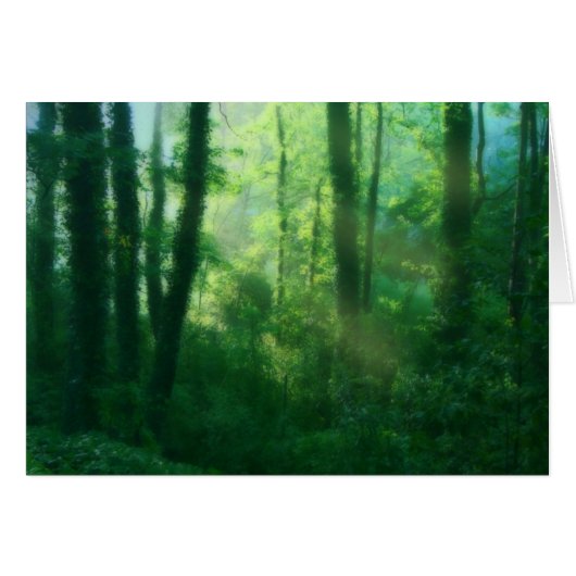 Vruchtbaarheidskaart (Voorkant Horizontaal)