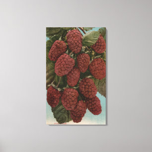 Vruchtchroomafnemer van LoganberriesStaat Canvas Afdruk