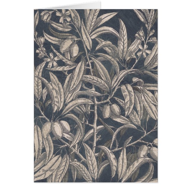  vruchten en vruchten I (Voorkant)