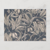  vruchten en vruchten I Briefkaart (Voorkant)