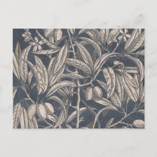  vruchten en vruchten I Briefkaart (Voorkant)