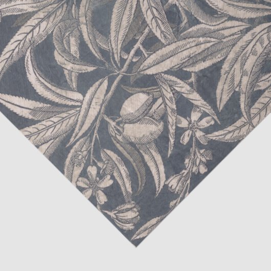  vruchten en vruchten I Tissuepapier (Detail)