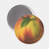 vruchten, gerijpt organisch perzik met leder magneet (Voorkant / Achterkant)