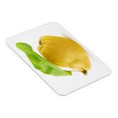 Vruchten Magneet (Rechterzijde)