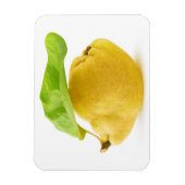 Vruchten Magneet (Verticaal)