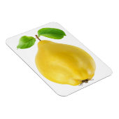 Vruchten Magneet (Rechterzijde)