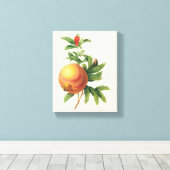 vruchten, Pomegranaat van Redoute Canvas Afdruk (Insitu (Houten vloer))