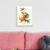 vruchten, Pomegranaat van Redoute Canvas Afdruk (Insitu (Woonkamer))