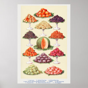 vruchten poster