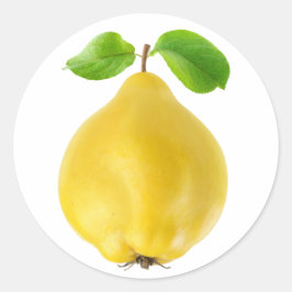 Vruchten Ronde Sticker