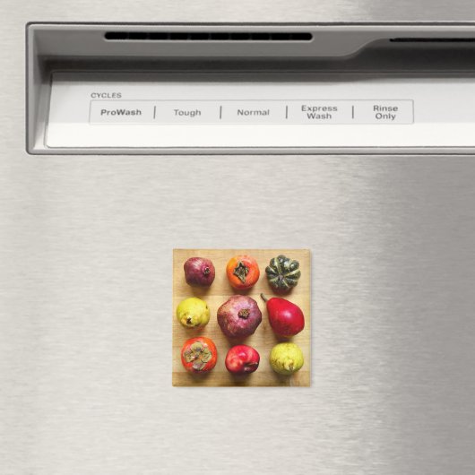 Vruchten Tic-tac-teen-vierkant Magneet (Insitu (Vaatwasser))