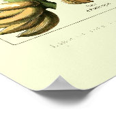  vruchten van Adolphe Millot Poster (Hoek)