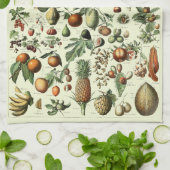  vruchten van Adolphe Millot Theedoek (Gevouwen)