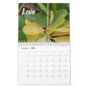 vruchten van de gedistilleerde kalender (Jan 2026)