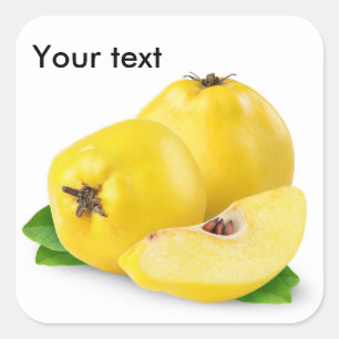 Vruchten van kwekerijen vierkante sticker