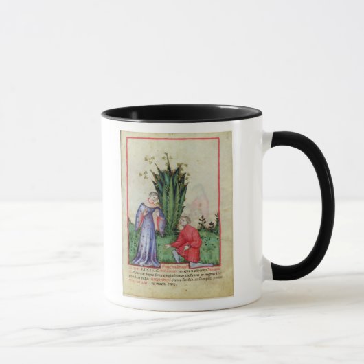 vruchten van Mandrake, van "Tacuinum Sanitatis" Mok (Rechts)