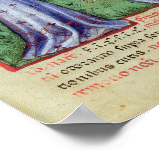 vruchten van Mandrake, van "Tacuinum Sanitatis" Poster (Hoek)