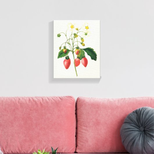vruchtenbessen Voedingsaardbeien door Redoute Canvas Afdruk (Insitu (Woonkamer))