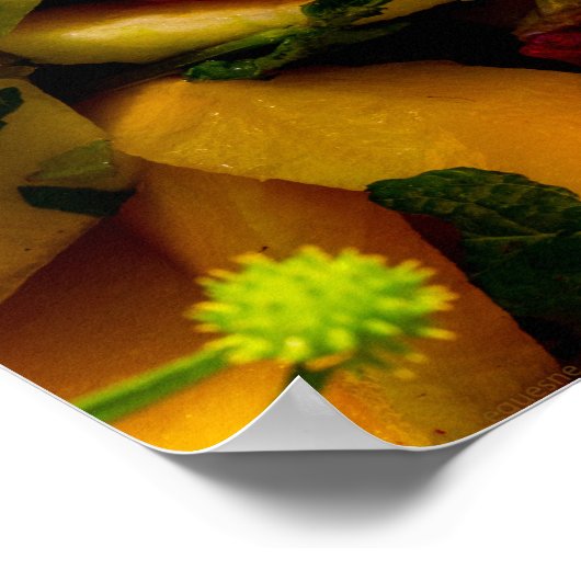Vruchtensalade Poster (Hoek)