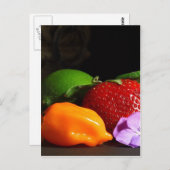 vruchtenstilleven briefkaart (Voorkant / Achterkant)