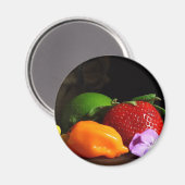 vruchtenstilleven magneet (Voorkant / Achterkant)