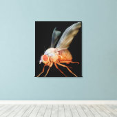 Vruchtvet Canvas Afdruk (Insitu (Houten vloer))