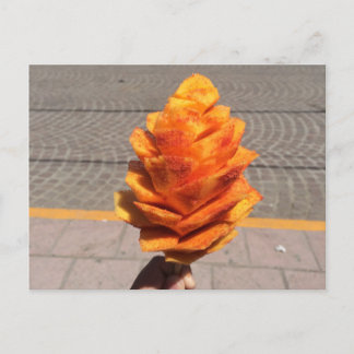 Vruchtvetvrij Briefkaart