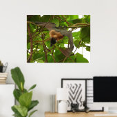 Vruchtvlees Poster (Thuiskantoor)