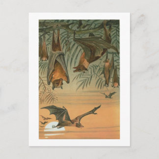 Vruchtvlekken Briefkaart