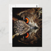 Vruchtvogels Briefkaart (Voorkant / Achterkant)