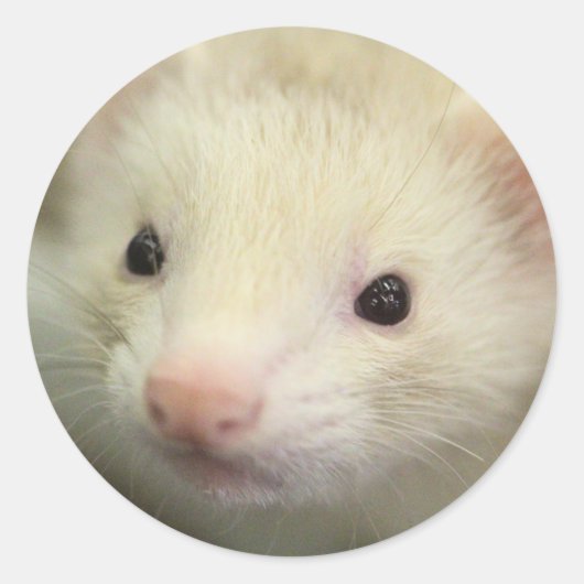 Vruchtzijde Ronde Sticker (Voorkant)