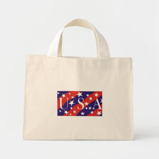 VS1 - Tas