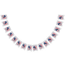 VS 250e verjaardag 1776-2026