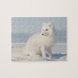 VS, Alaska, 1002 Arctische kustvlakte 5 Legpuzzel
