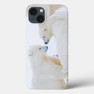 VS, Alaska, 1002 Arctische kustvlakte iPhone 13 Hoesje