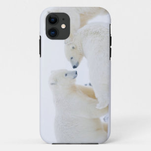 VS, Alaska, 1002 Arctische kustvlakte iPhone 11 Hoesje