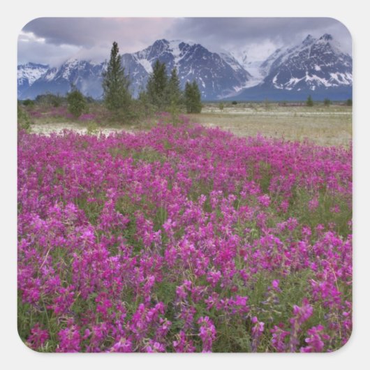 VS, Alaska, Alsek River Valley. Uitzicht van Vierkante Sticker (Voorkant)