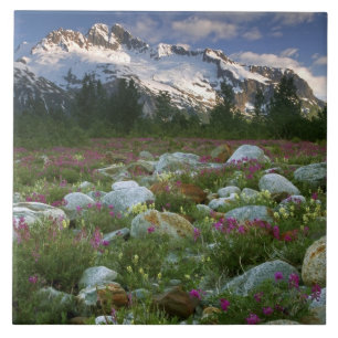VS, Alaska, Alsek-Tatshenshini Wilderness. Uitzich Tegeltje