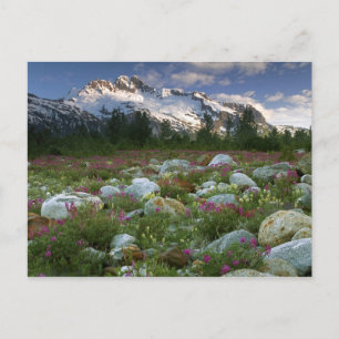 VS, Alaska, Alsek-Tatshenshini-wildernis. Uitzicht Briefkaart