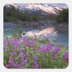 VS, Alaska, Alsek-Tatshenshini-wildernis. Vierkante Sticker